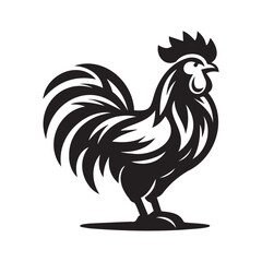 Rooster isolated on a white background