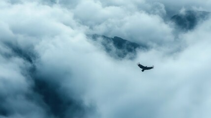 Bird flying in the sky with its wings spread wide. the sky is filled with dark, ominous clouds that are covering the entire frame of the image.