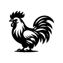 Rooster isolated on a white background