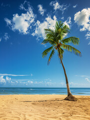 Palm tree standing on tropical beach with golden sand and blue sky