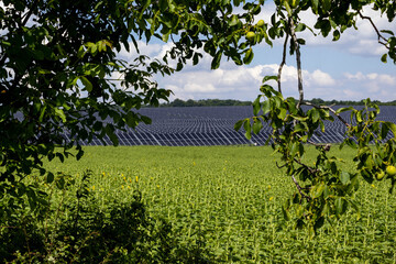 Solar panel fields in Moldova