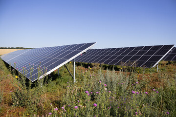 Solar panel fields in Moldova