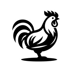 rooster isolated on white background