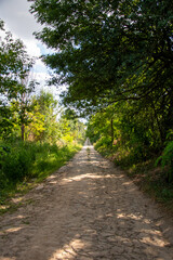 Fototapeta premium A dirt road in the middle of a wooded area with trees and bushes