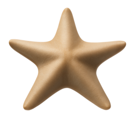 Leather sea star with a smooth, leathery surface and five broad arms