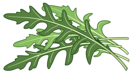 bright-vector-of-fresh-arugula-with-wild-edges-.svg