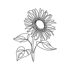 Elegant single line art drawing of a sunflower with leaves illustration floral