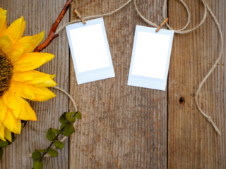 Overhead flatlay image of rustic plank weathered wood table with sunflower and two empty vintage picture transparent photo frames cutout on twine and clothespins. Country setting.