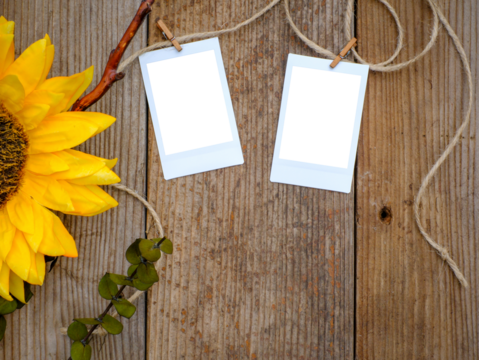 Overhead flatlay image of rustic plank weathered wood table with sunflower and two empty vintage picture transparent photo frames cutout on twine and clothespins. Country setting.