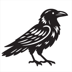 Obraz premium Crow svg