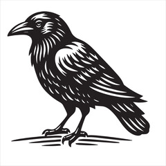 Obraz premium Crow svg