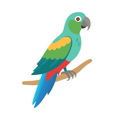 bird ilustration of a parrot perched