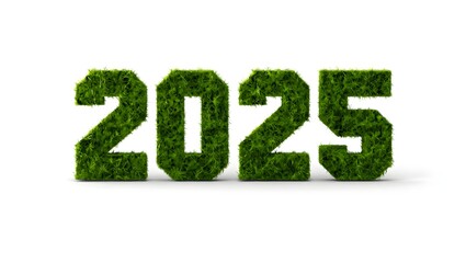 Year two thousand twenty five grass eco friendly sustainable future new year concept
