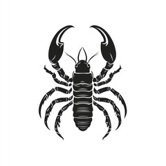 Obraz premium Black and white crustacean graphic