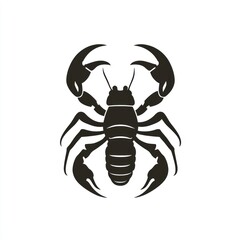 Obraz premium Silhouette of a large crustacean (1)