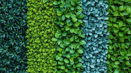 Lush vertical garden wall showcasing a vibrant variety of green foliage, creating a stunning natural backdrop and enhancing the beauty of interior or exterior spaces with its rich textures and tones.