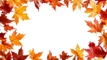 fall leaves border png