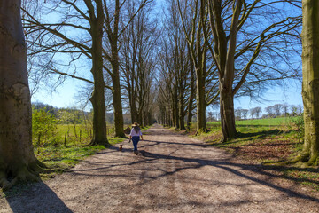 Female hiker walking her dog on dirt footpath between tall, bare, century-old trees, her back to camera, enjoying relaxing, sunny spring day in Gulpen, South Limburg, Netherlands