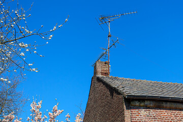 Old TV antenna on gabled roof next to chimney, framed by blossoming tree branches, white flowers, rusty metal, brick walls, sunny day with a blue sky in the Netherlands