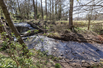 Gulp River with water flowing from small dam with concrete waterfall, abundant bare trees in background, spring sunny day in Gulpen, South Limburg, Netherlands