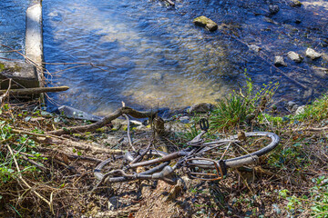 Old, rusty, mud-covered bicycle sits on muddy bank of Gulp River, reflecting sunlight off calmly flowing water, sunny day in Gulpen, South Limburg in the Netherlands
