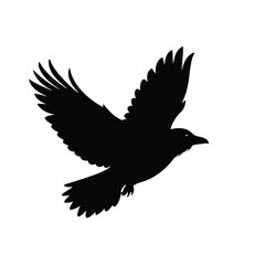 Obraz premium Crow Flying Gracefully Across The Open Sky Line Art Vector illustration