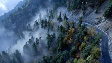 Winding road through a misty mountain forest.