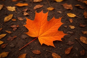 A Lone Maple Leaf Rests on a Textured Canvas of Fallen Leaves