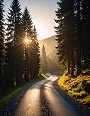 Winding road through a sunlit forest at sunrise