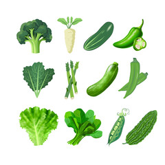 Vibrant green vegetable icons, broccoli, cucumber, leafy greens, asparagus, pea pods, perfect for healthy food branding, recipes, and organic product designs