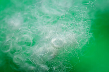 Extreme macro of polyester stable fiber on green background. Selective focus, shallow depth of...