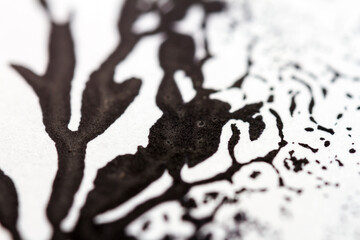 Extreme close up of black acrylic paint texture on paper. Selective focus.