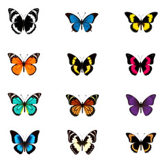 set of butterflies