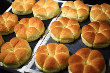 Fresh bread  from the oven Industrial bread, delicious pastries for breakfast.