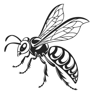 Wasp clip art preview