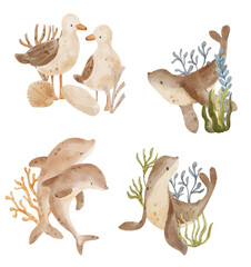 Watercolor underwater composition with seaweed, dolphin, seal and seagull. Marine life hand-drawn animals.