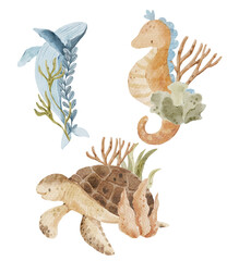 Watercolor underwater composition with seaweed, seahorse and turtle. Marine life hand-drawn animals.