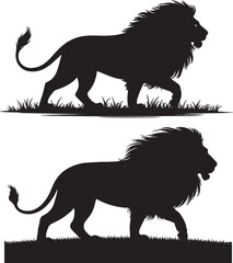 Silhouette of lion walking in grass symbolizing strength power leadership courage and king of jungle in natural wildlife environment