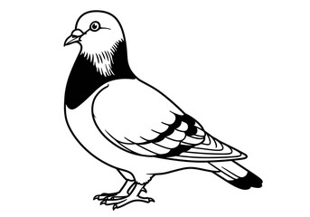 vector illustration of two birds