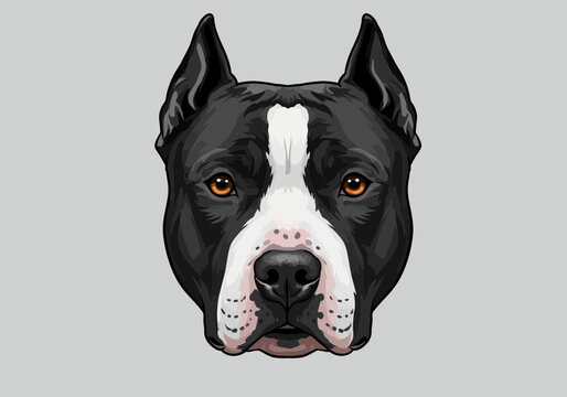 portrait of a great dane