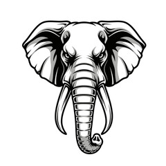 elephant cartoon isolated on white