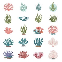 A collection of coral and seaweed illustrations are displayed