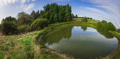 pond in summer in the wild