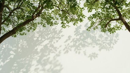 Lush green foliage canopy forming decorative border frame with copy space center for nature themed graphic design and marketing materials
