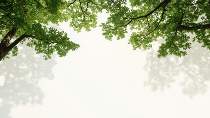 Spring tree branches with vibrant green leaves framing white negative space for eco friendly environmental sustainability design template background

