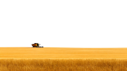 combine harvester working on wheat field