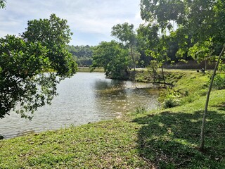 A shady and comfortable atmosphere in the lakeside park