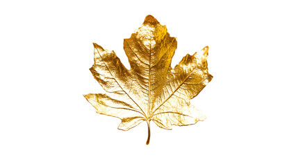Fototapeta premium gold leaf png
