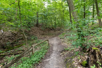 Schilderijen op glas footpath in the forest © fotostilyuri