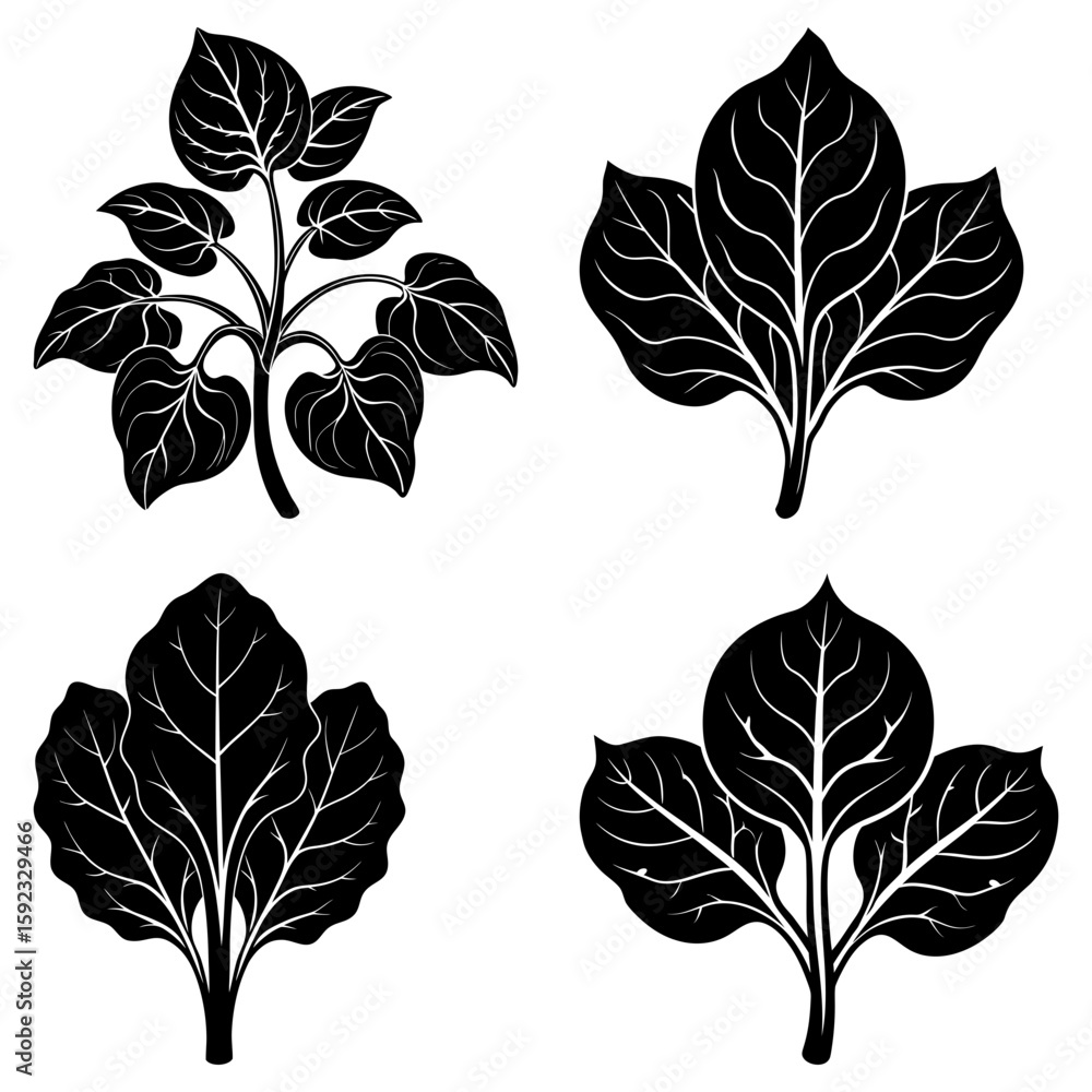 Poster four black and white leaf illustrations with detailed vein patterns on a white background in a simpl